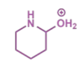 <p>next stage of intramolecular Mannich</p>