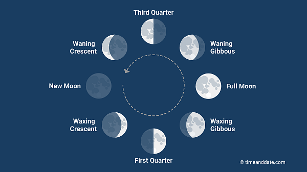 <p>What is the period of a lunar phase cycle?</p>