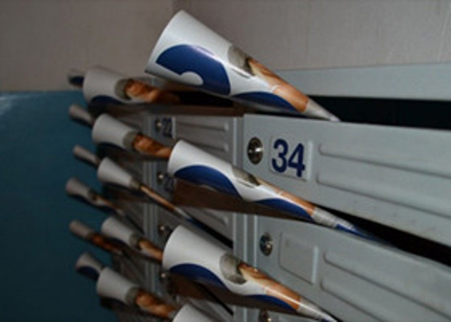 <p>the posting of advertising or similar material to a lot of people at one time (chiến dịch gửi thư quảng cáo hàng loạt)</p><p>ex: The ubiquity of the digital .. often leads to a phenomenon known as 'inbox fatigue', where consumers instinctively disregard unsolicited promotional content.</p>