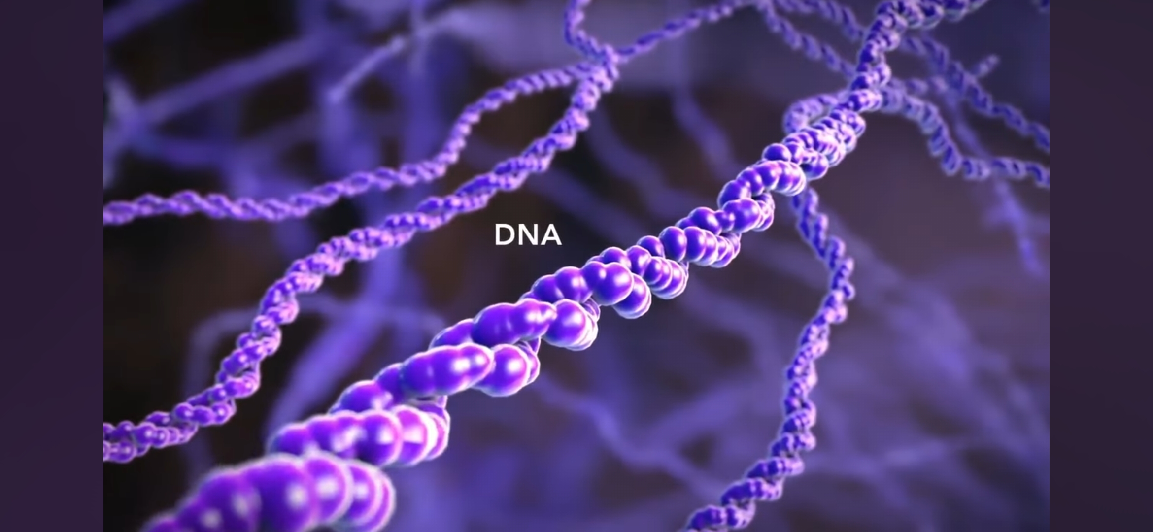 <p>DNA</p>