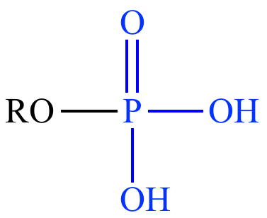 <ul><li><p>-PO<sub>4</sub>H<sub>2</sub></p></li><li><p>Charged</p></li><li><p>Acidic</p></li><li><p>Polar = Hydrophilic</p></li><li><p>Phospholipids &amp; Nucleic Acids<br>Ex: Ethanol</p></li></ul><p></p>