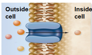 <p>This is a what doing what?</p>