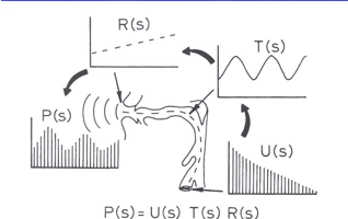 <ul><li><p>peaks are formants</p></li><li><p><span>Source and filtering</span></p></li></ul><p><span>–P(f) = U(f) <em> T(f) </em> R(f)</span></p><p><span>–U(f) and R(f) is considered to be constant</span></p><p></p>