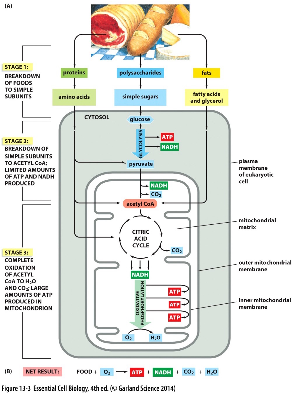 <p>Breaking down Yeilding Energy </p>