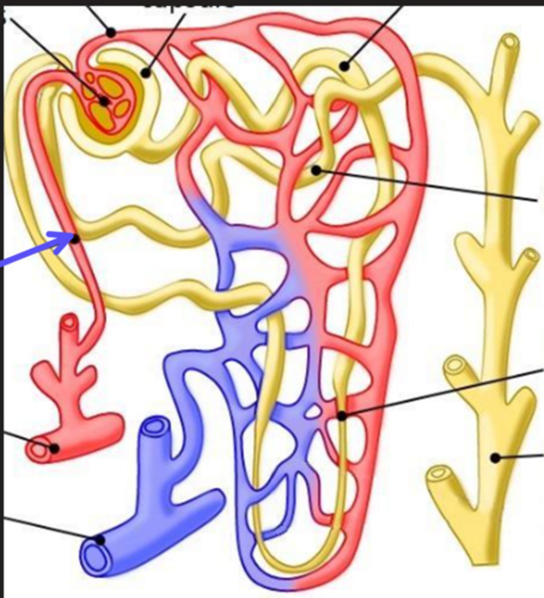 <p>What is the arrow pointing at?</p>