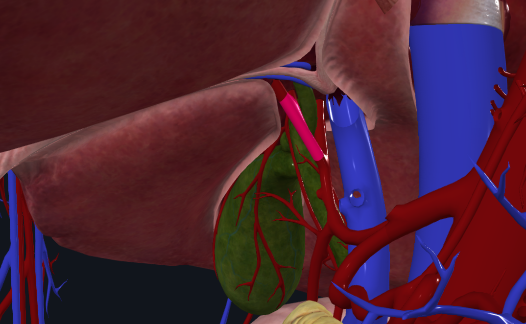 <p>What is highlighted</p>