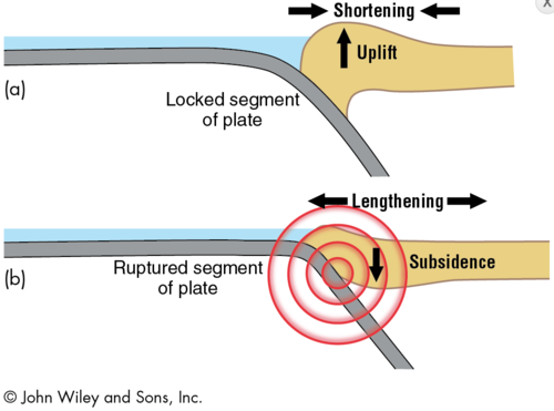 strongest of earthquakes, happens at deep trenches...cause tsunamis, one plate jumps up over another