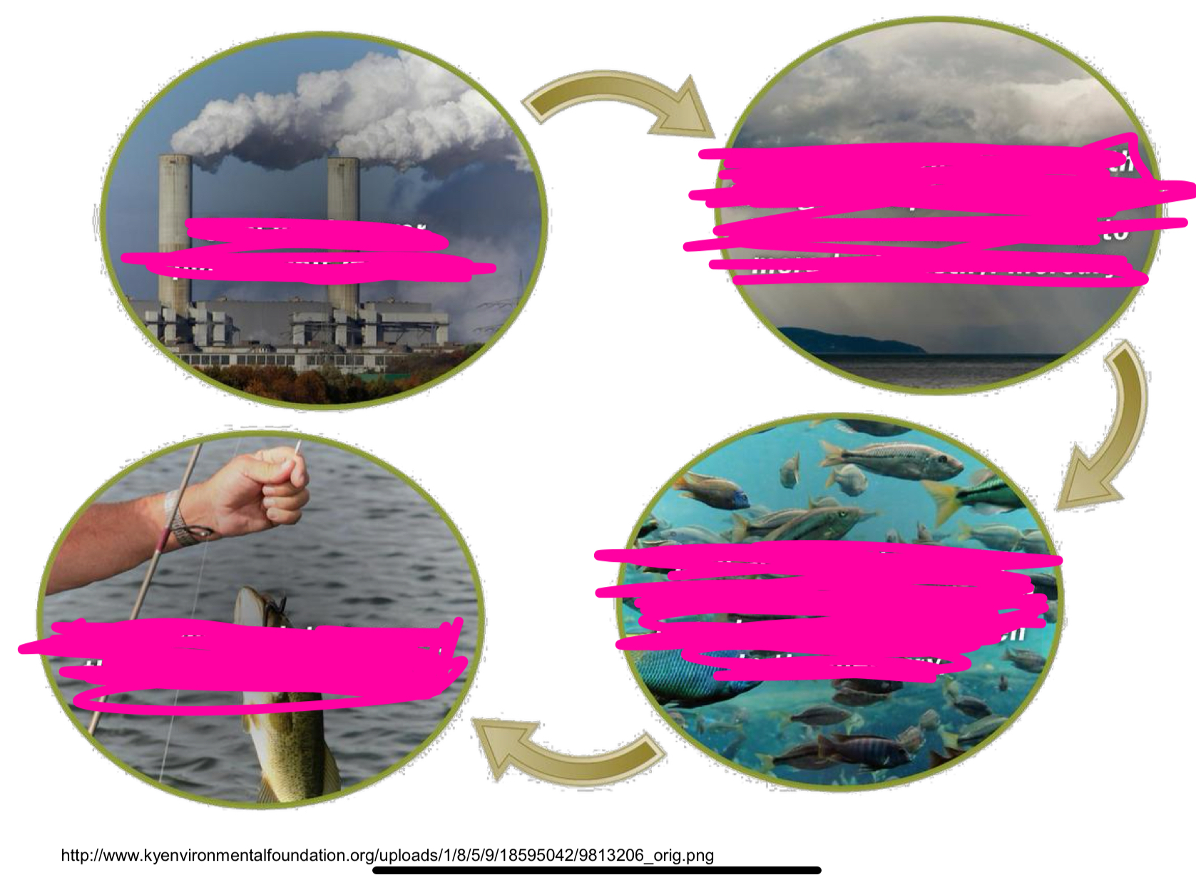 <p>FILL IN BLANKS</p>