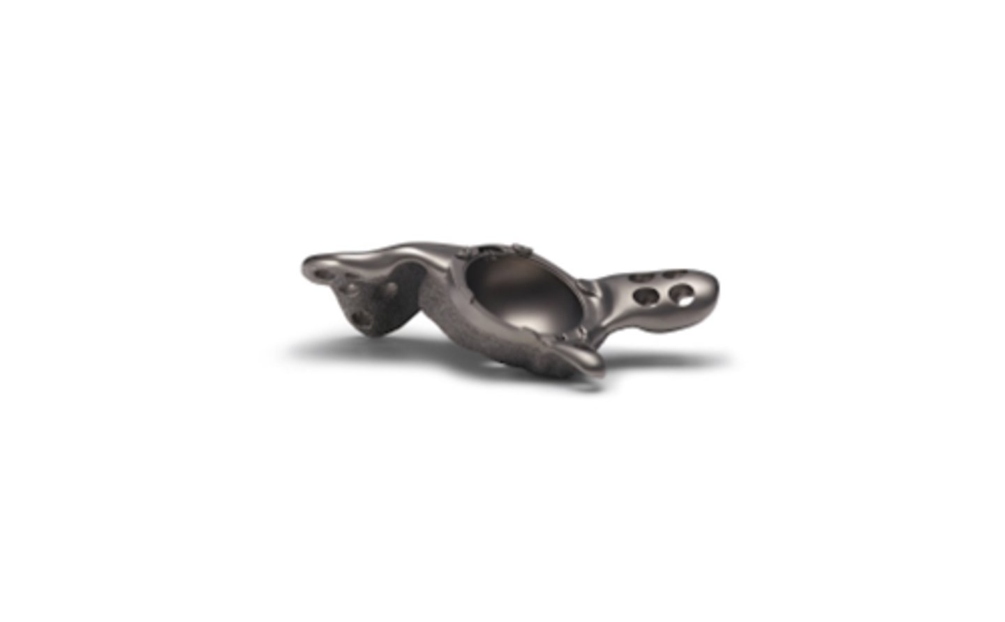 <p>Orthopedic Implant</p>