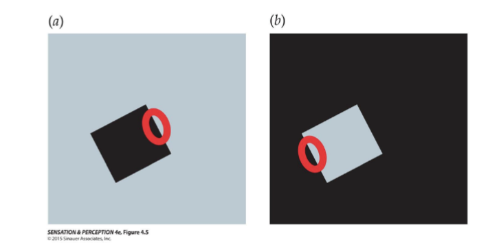 <p>Respond to “boundary ownership”, which side is part of the background and which is the object!</p>