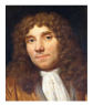 <p>The father of microbiology; known for his work on the improvement of</p><p>the microscope</p>