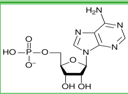 <p>IDENTIFY THE FOLLOWING MONOMERS</p>