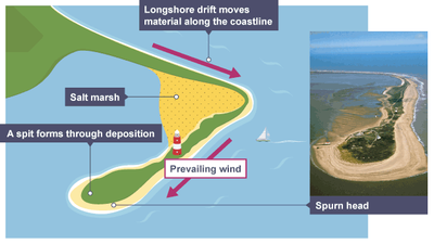 <ul><li><p>Longshore drift moves sand or shingle along the coastline.</p></li><li><p>When the coastline changes direction, sediment is deposited.</p></li><li><p>Over time, the deposited material builds up, forming a narrow, hooked landform.</p></li><li><p>The result is a spit, which extends into the sea, which is often curved due to wind.</p></li></ul><p></p>