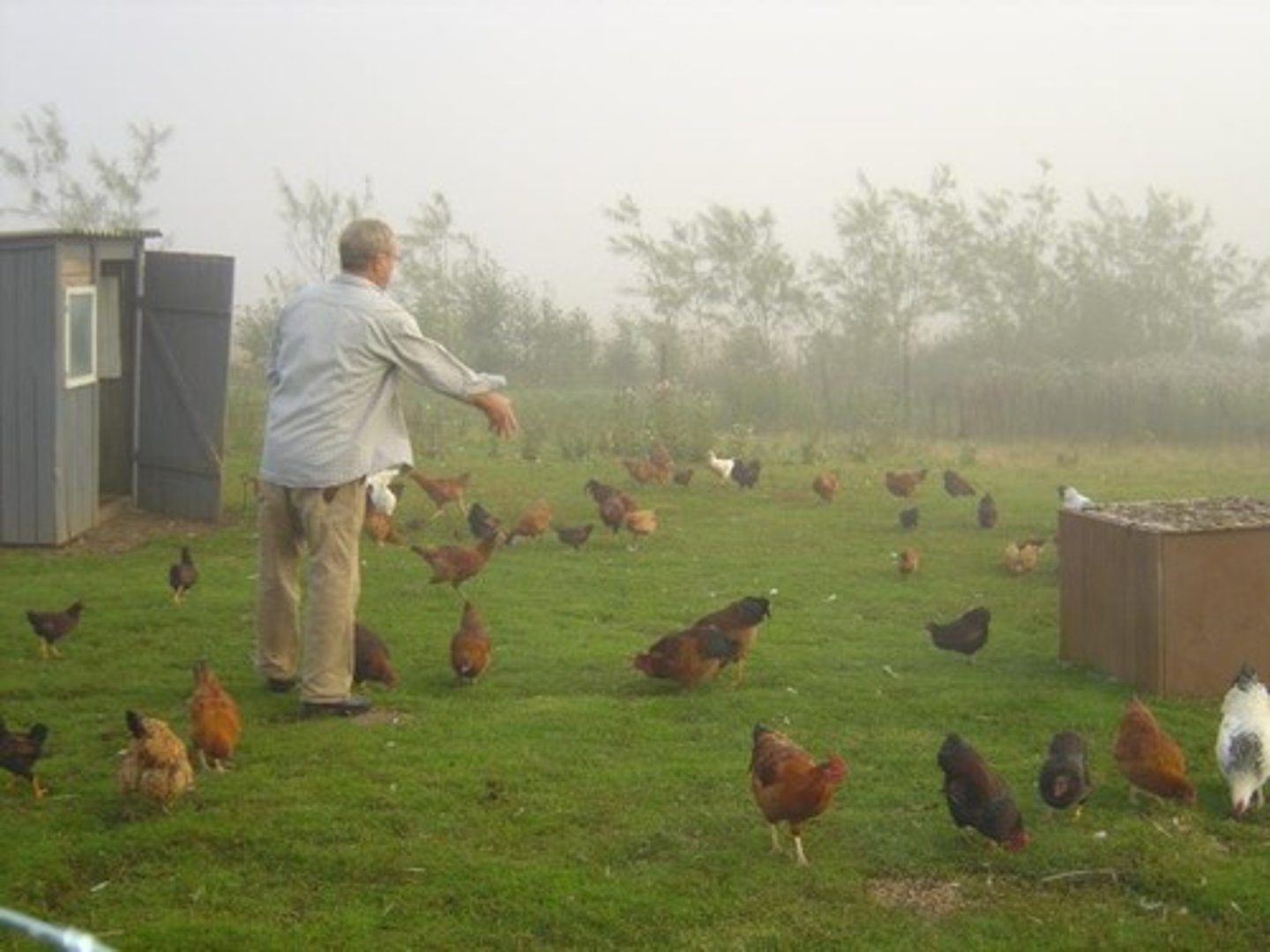 <p>de l'élevage en plein air</p>