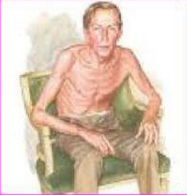<p>pathology?</p>