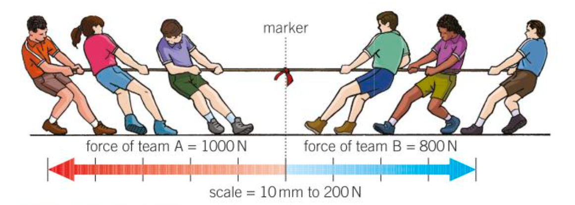 <ul><li><p>The resultant force is equal to the difference between the two forces.</p></li><li><p>The resultant force is in the direction of the larger force.</p></li></ul>