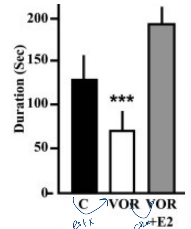 <p>-method: one s.c. injection of saline control (C) or vorozole (VOR, aromatase inhibitor), or VOR+E2 </p><p>-time at window measured after 10 min</p><p>→ aromatase inhibitor had significant effects in reducing time at window</p>