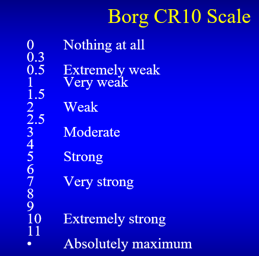 <p><span>Borg CR10 Scale</span></p>