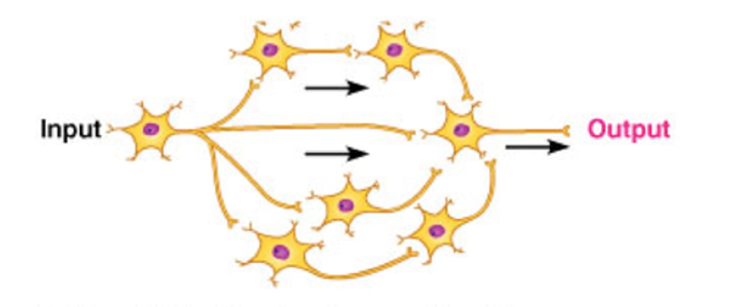 <p>Contains two or more branches for current to move through</p>