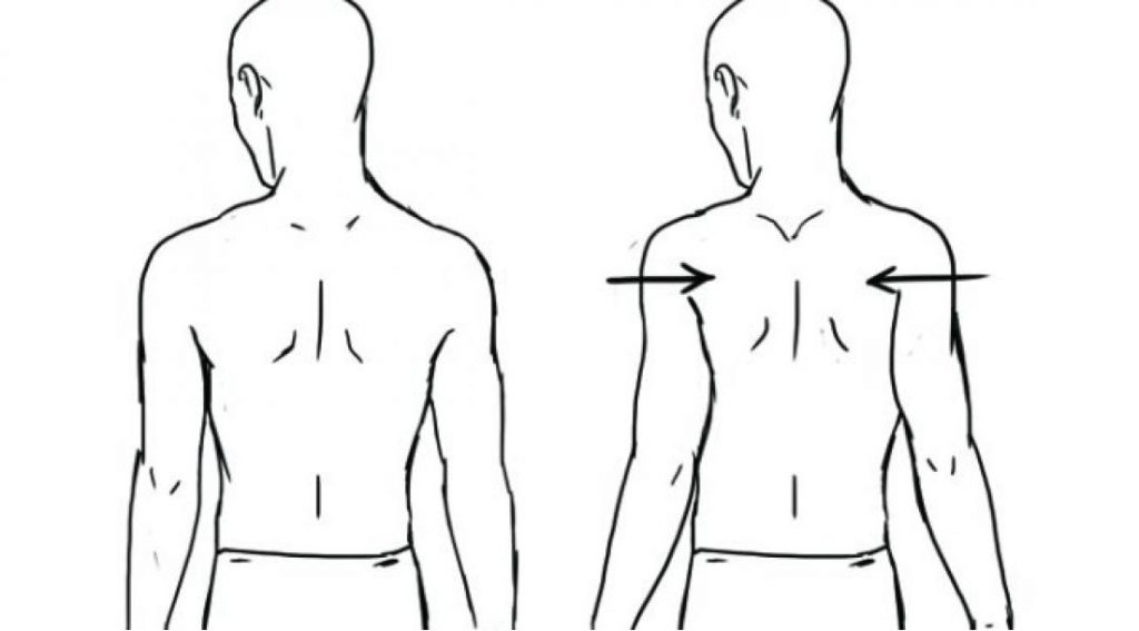 <p>What are the prime moving muscles of the shoulder <u><strong>girdle</strong></u> involved in <strong><em>adduction</em></strong>?</p>