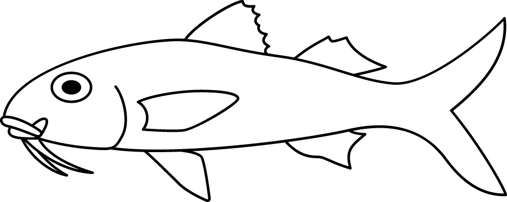 <p>Barbels<br>Size: 25 cm</p>