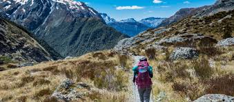 <p>to walk (specific path or route with purpose)</p>