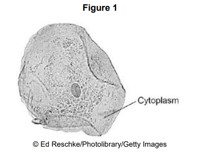 <p>Ribosomes and mitochondria are not shown in Figure What type of microscope is needed to see ribosomes and mitochondria?</p>
