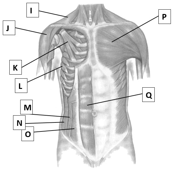 <p>Q</p>