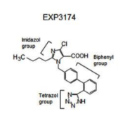 <p>EXP3174, Valsartan, Telmisartan, Candesartan, Olmesartan, Azilsartan, Irbesartan</p>