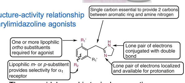 <p>Lipophilic ortho position is <u>required.&nbsp;</u></p><p>Lipophilic meta/para substitution helps to provide selectivity for the alpha 1 receptor.&nbsp;</p>