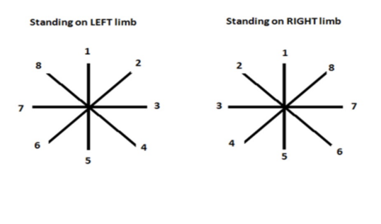 <p>Star Excursion Balance Test (SEBT)</p>