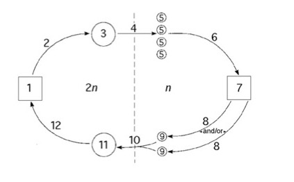 <p><span><span>Which number could represent a multicellular embryo?</span></span></p>