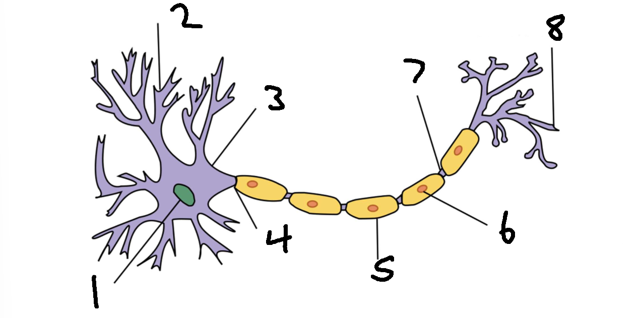 <p>What is 2?</p>