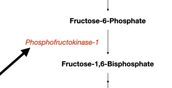 <ul><li><p>It’s a rate-limiting enzyme</p></li><li><p>inhibit by <strong>ATP , Citrate</strong></p></li><li><p>promote by <strong>AMP, Fructose 2,6-bisphosphate</strong><span><strong><span> (F2,6BP)</span></strong></span></p></li></ul><p></p>