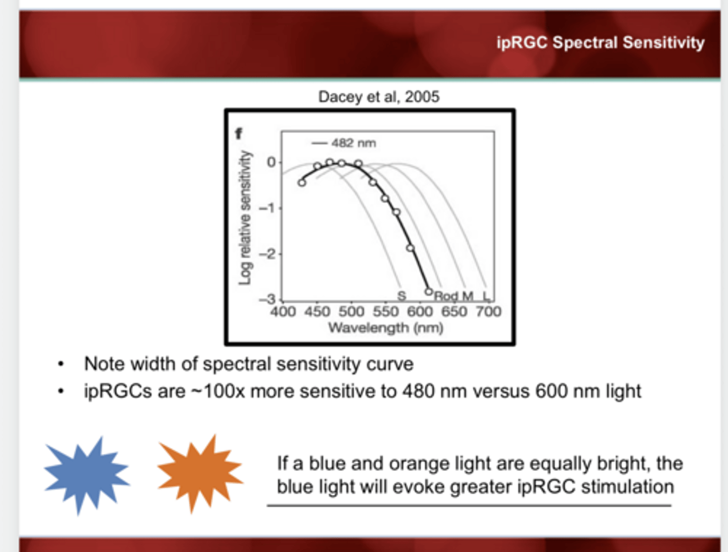 <p>ipRGCs are ____x more sensitive to 480nm v 600nm light</p>
