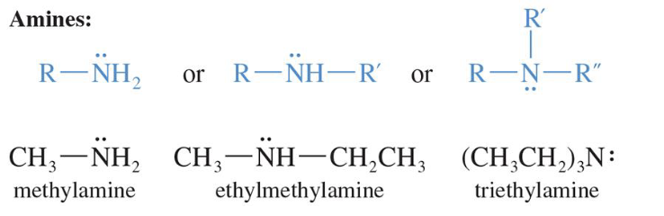 <p>Alkylated derivatives of ammonia</p>