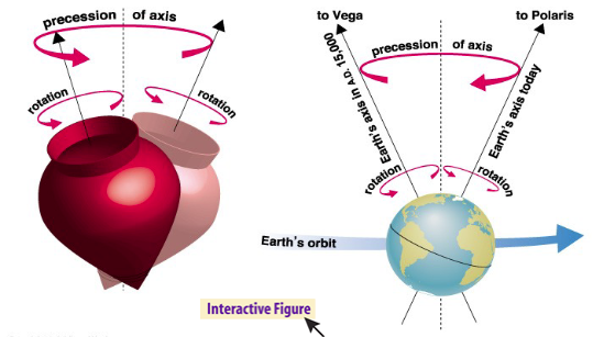 <ul><li><p>Although the axis seems fixed on human time scales, it precesses over about 26,000 years.</p></li><li><p>Þ Polaris won’t always be the North Star.</p></li><li><p>Þ Positions of equinoxes shift around orbit; e.g., spring equinox, once in <em>Aries</em>, is now in <em>Pisces</em>!</p></li></ul><p></p>