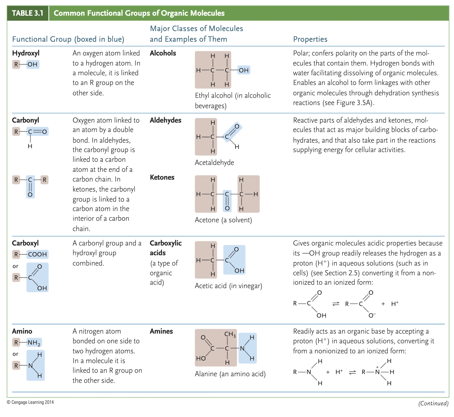 <p>amino (-NH2), phosphate (-OPO3²-), hydroxyl (-OH), carbonyl (>C=O), carboxyl(-COOH)</p>