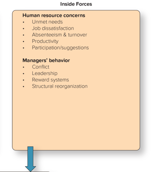 <ol><li><p>Human resource concerns</p></li><li><p>Managers’ behavior</p></li></ol><p></p>