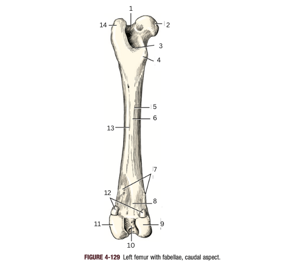 <p>5</p>