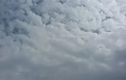 <p><span><strong>Stratus</strong></span></p>