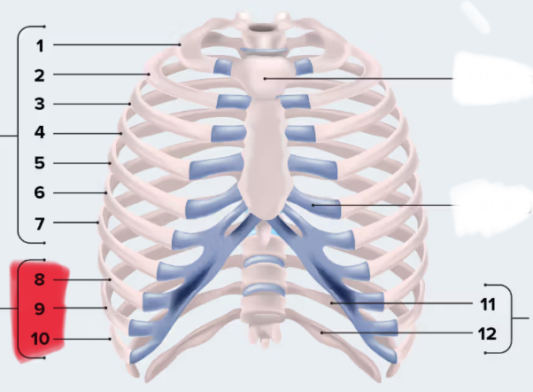 <p>Also 11 and 12</p>