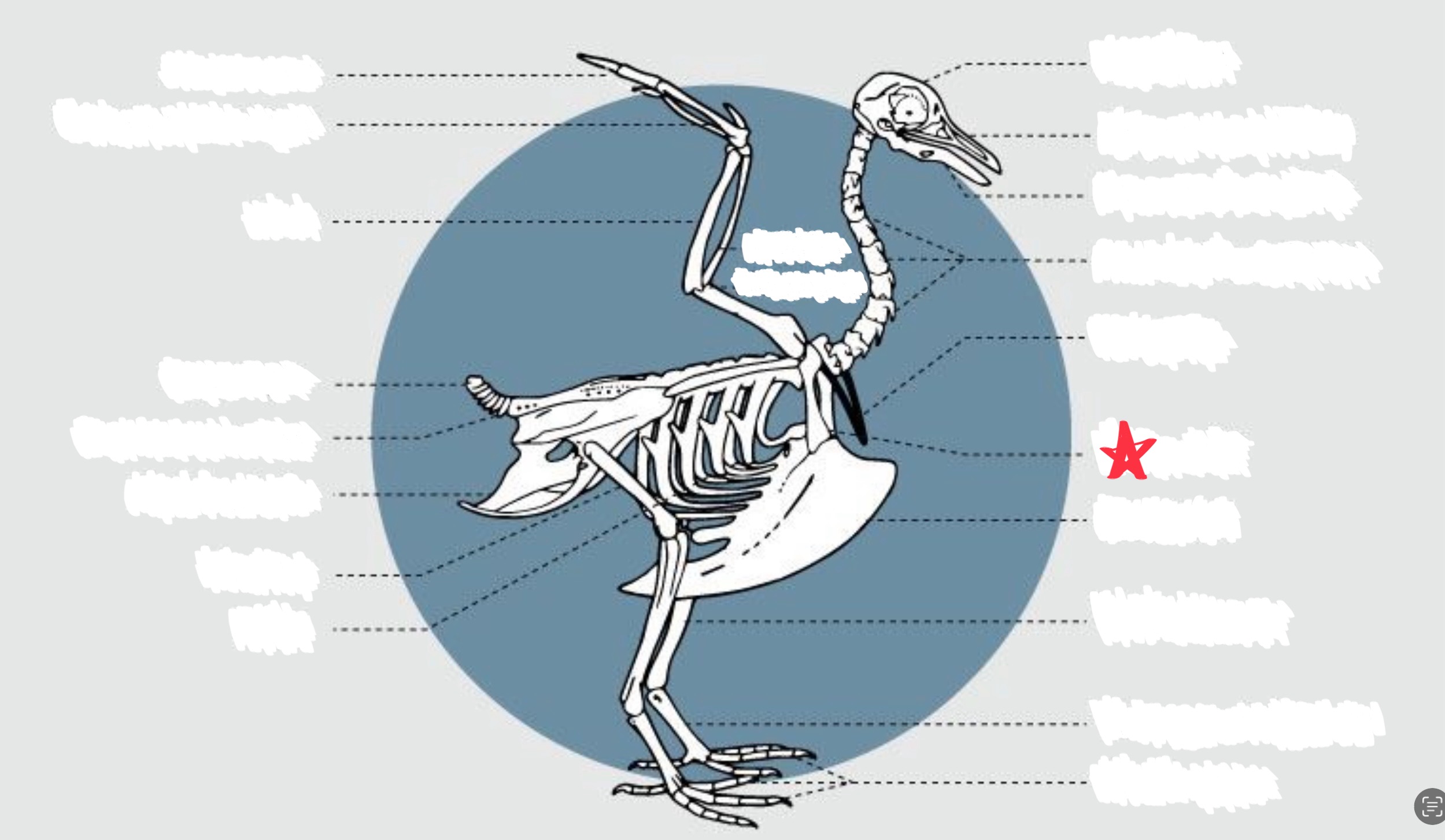 knowt flashcard image