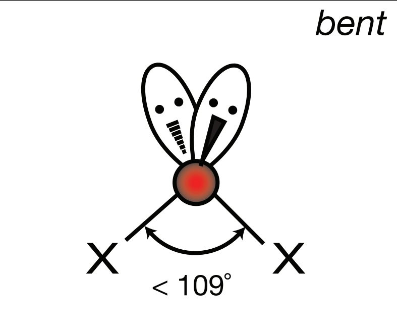 <p>Electron Geometry: Tetrahedral, VSEPR Geometry: Bent, Bond Angle: 104.5<sup>o</sup></p>