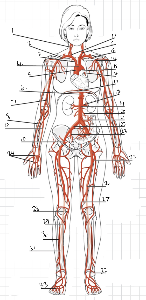 <p>Identity #25 on this image.</p>