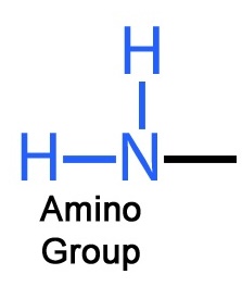 <p>Amino</p>