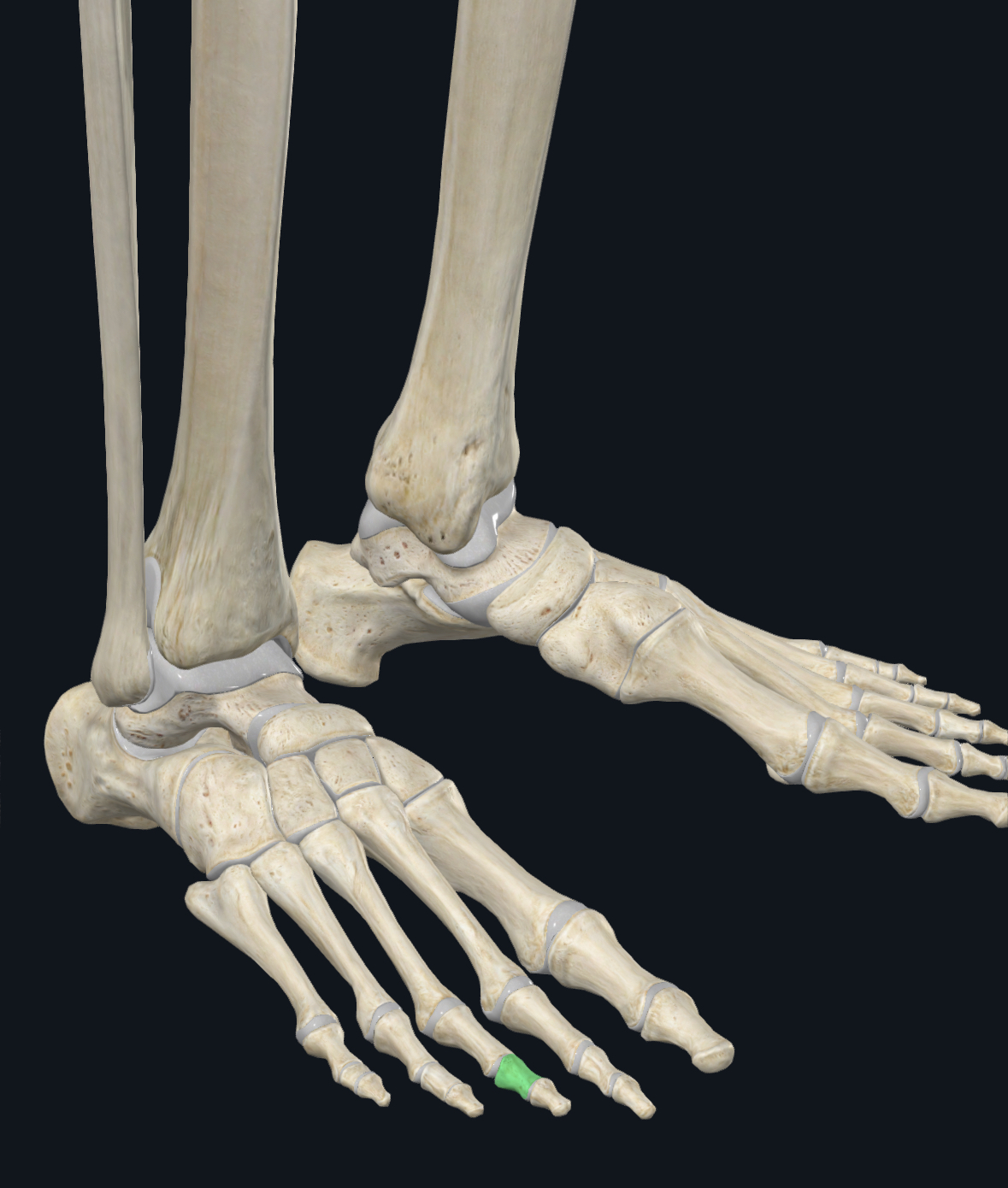 term image