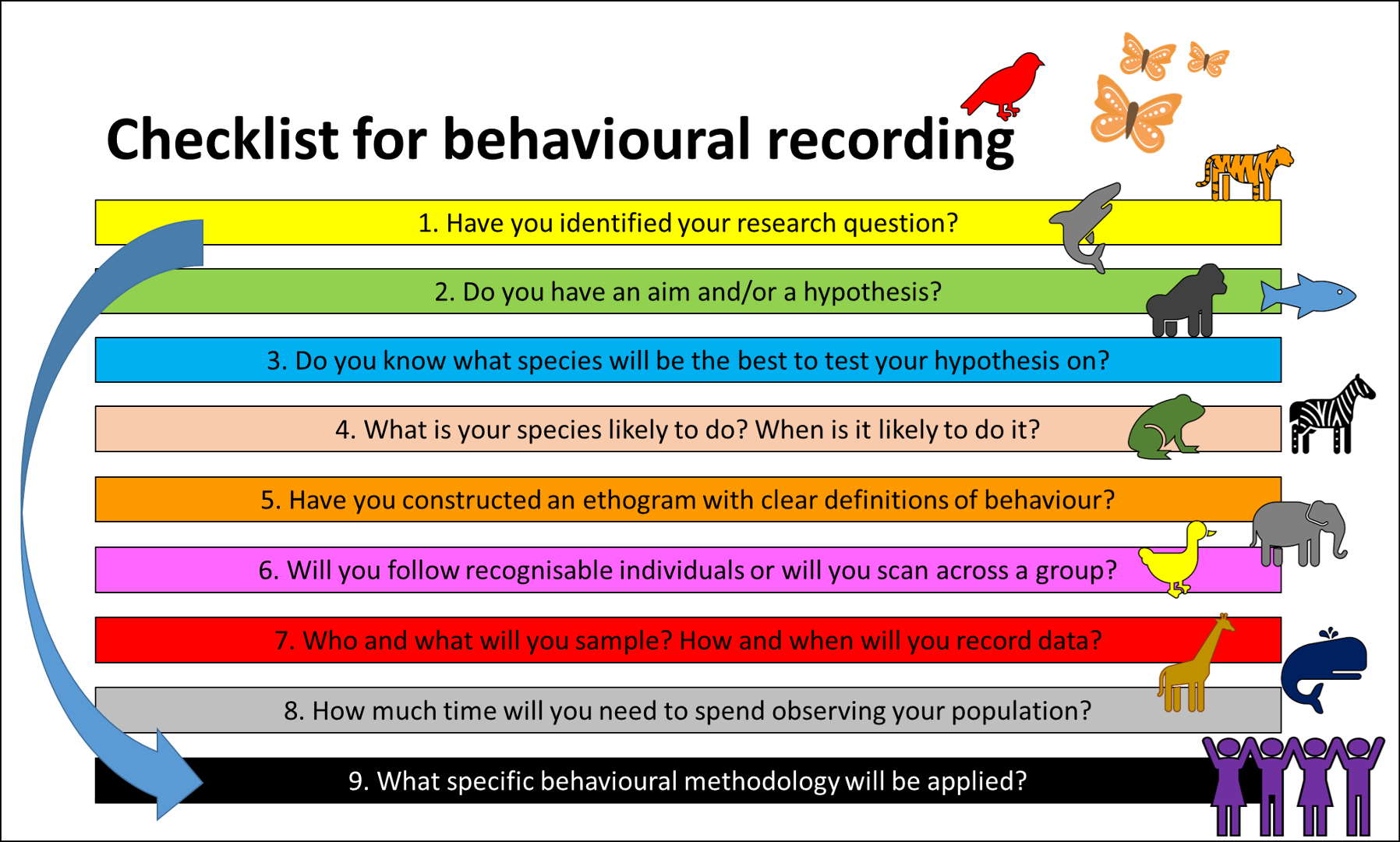 <p><u>sampling </u></p><ul><li><p>who to watch </p></li><li><p>what to measure </p><ul><li><p>focal </p></li><li><p>scan </p></li><li><p>behavioural </p></li><li><p>event </p></li></ul></li></ul><p></p><p><u>recording </u></p><ul><li><p>how to watch </p></li><li><p>when to measure </p><ul><li><p>continuous </p></li><li><p>instantaneous </p></li><li><p>one-zero </p></li></ul></li></ul><p></p>