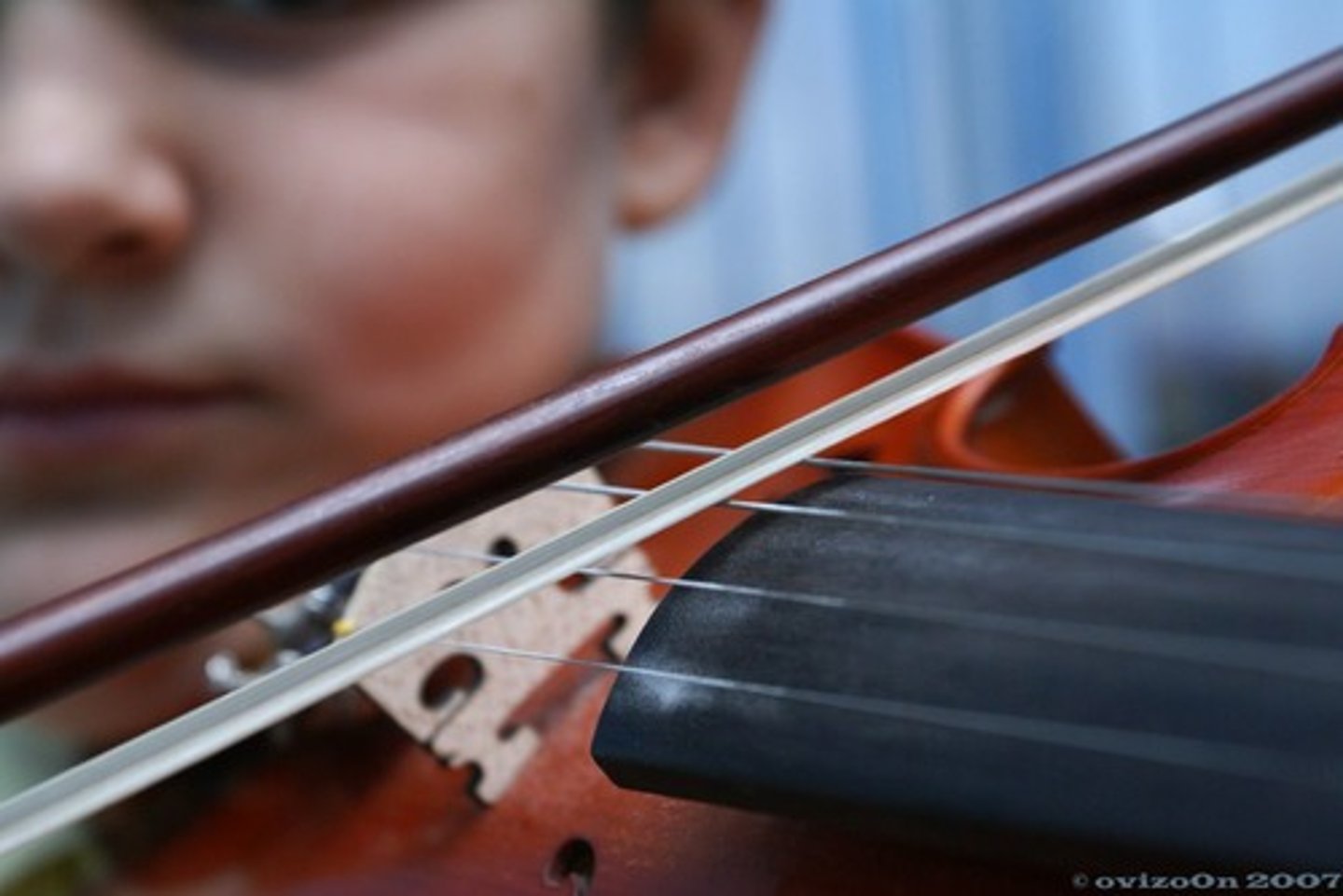 <p>You (s.) play violin.</p>
