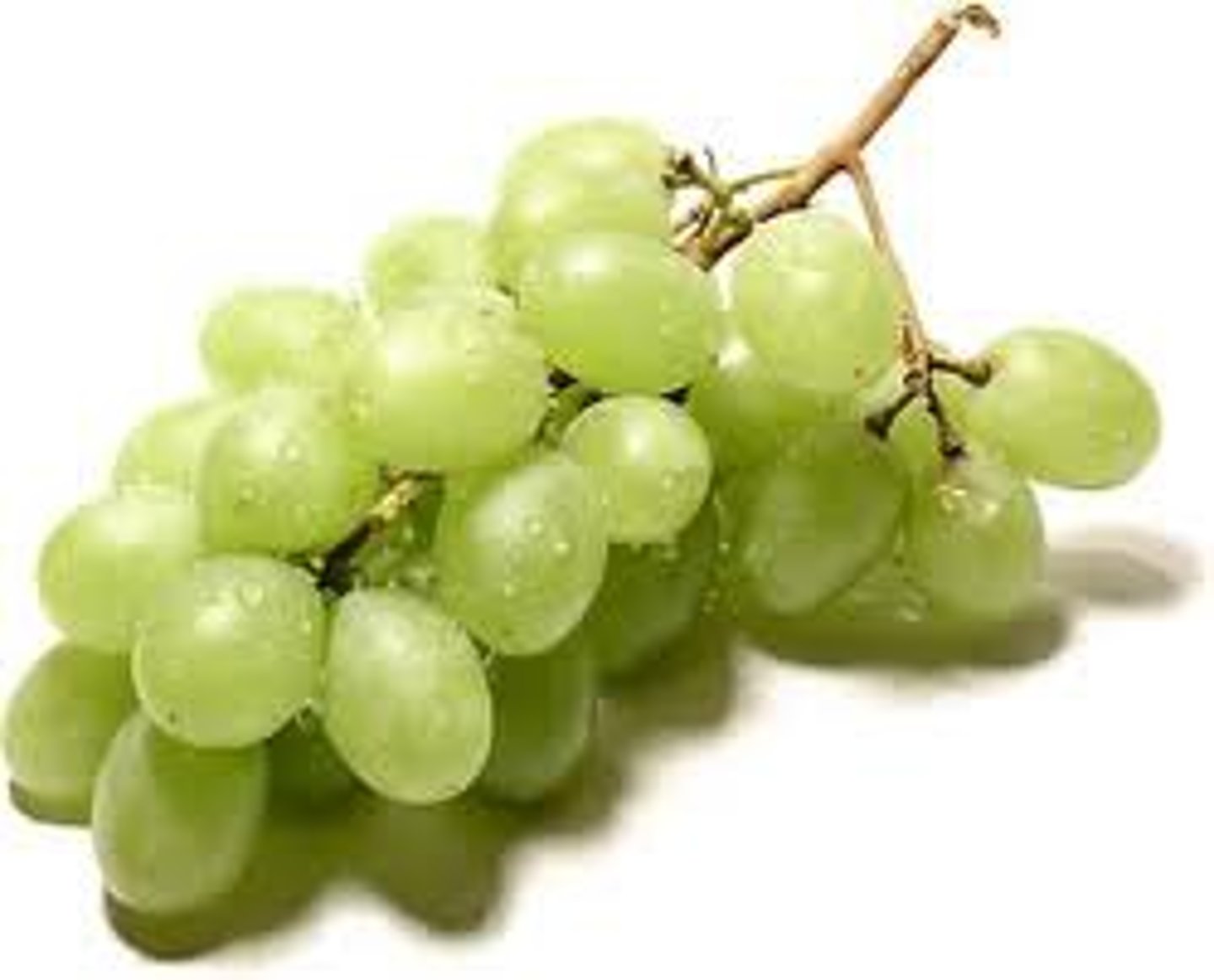 <p>the grapes</p>